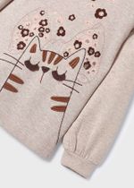 толстовка с брюками