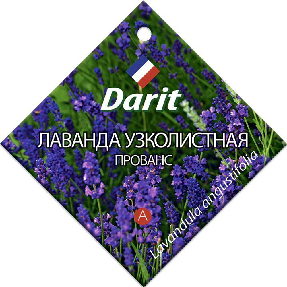 Лаванда узколистная Прованс, семена Дарит 0,1г (400)