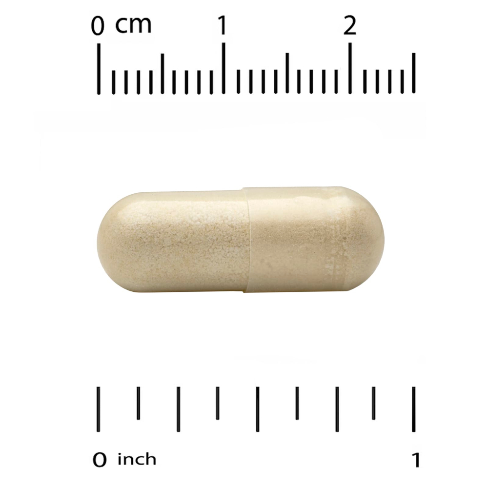 Super Nutrition, Super Immune+, мультивитамины с суперадаптогенами, витаминами C и D, цинком и бета-глюканом, 90 вегетарианских капсул