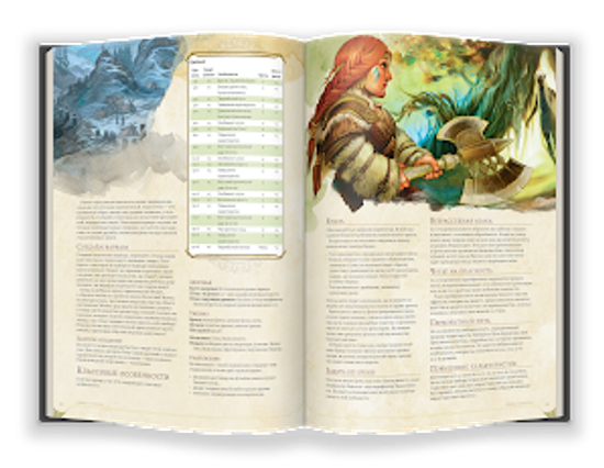 Настольная игра Dungeons & Dragons. Книга игрока
