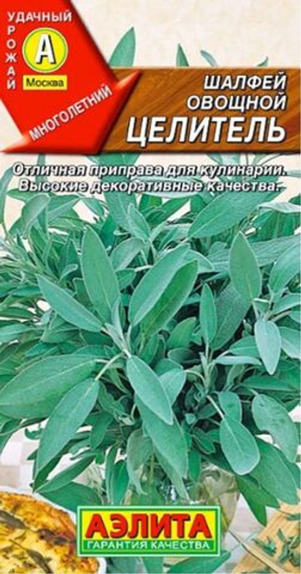 Шалфей овощной Целитель