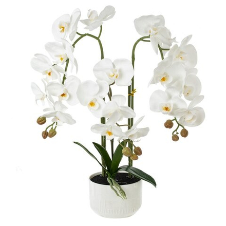 GAEM Цветочная композиция "Орхидея", L50 W36 H76 см