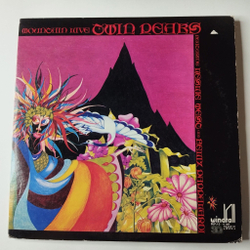 Винтажная виниловая пластинка LP Mountain Twin Peaks (Japan 1973) (No Obi) Never In My Life