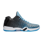Кроссовки Jordan Air Jordan 29 Low Unc