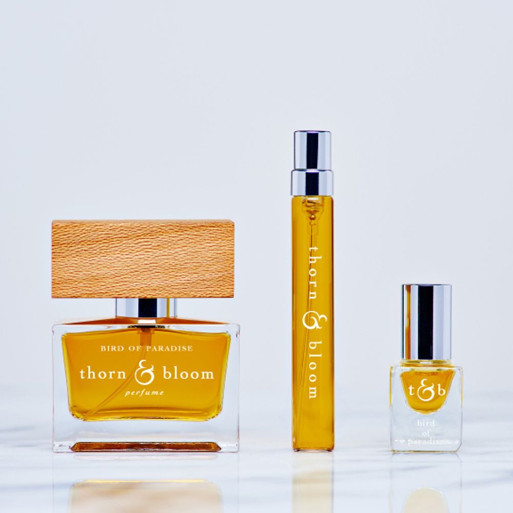 Thorn and Bloom Bird of Paradise