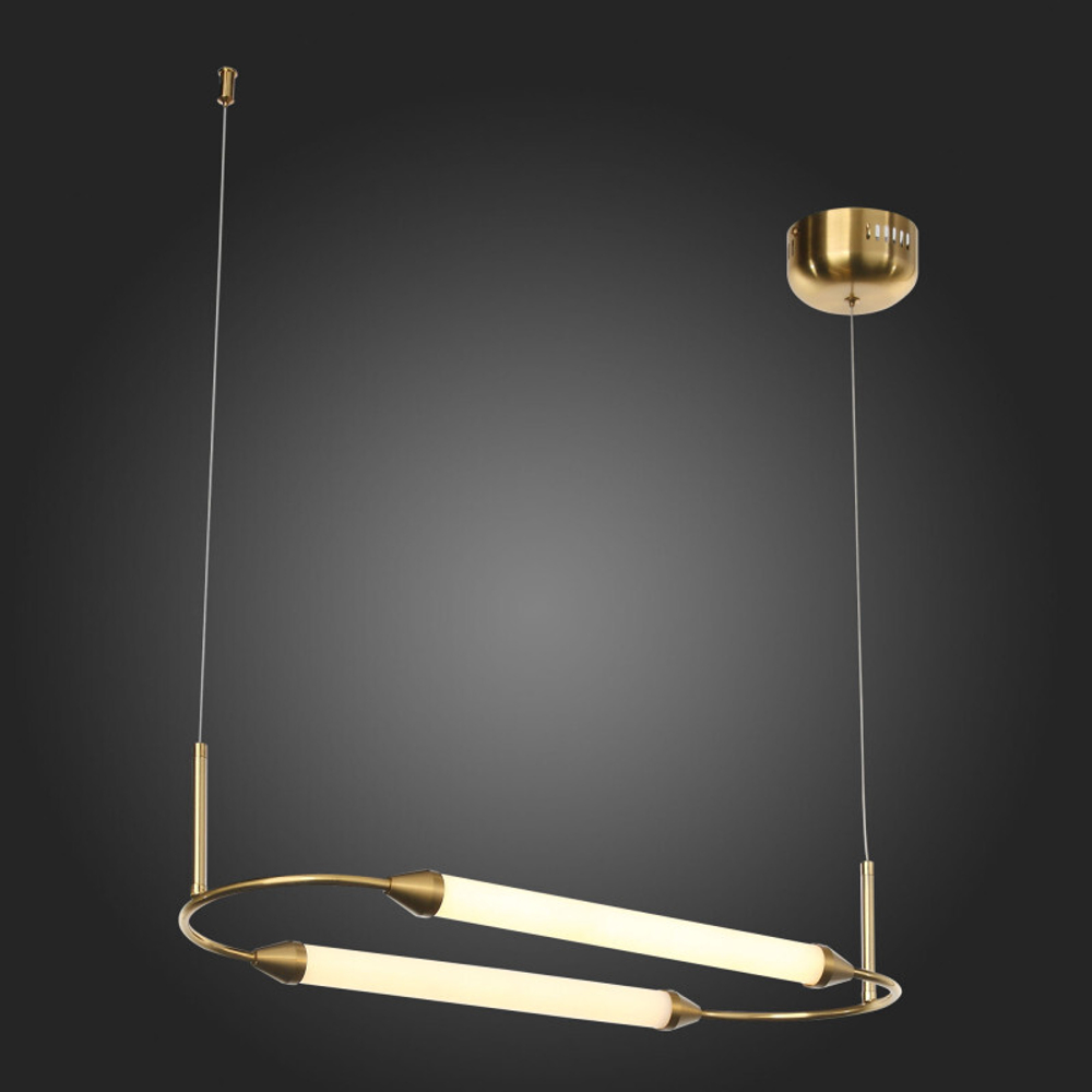 Подвесной светильник ST-Luce Olbia SL6004.313.02