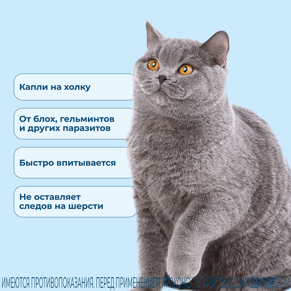 Селафорт капли для кошек для наружнего применения противопаразитпрный