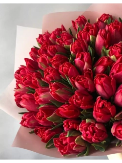 Тюльпаны пионовидные ,луковицы сорт LARGO красные (4штуки)