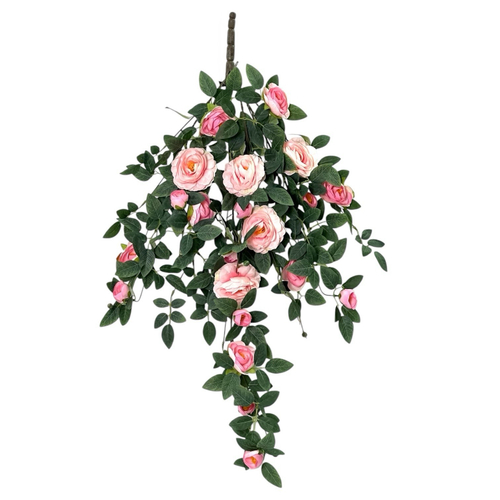 Роза ампельная розовая