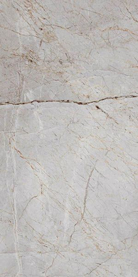 Керамогранит Silver Root Полированный