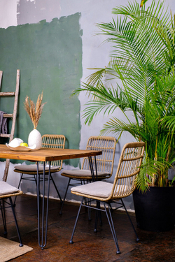 Обеденный стул плетеный CHARLOTTE