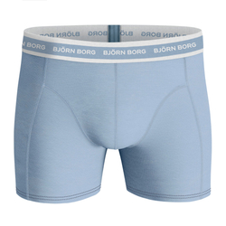 Мужские спортивные боксеры Björn Borg Shorts Sammy BB Fourflower 5P - skyway