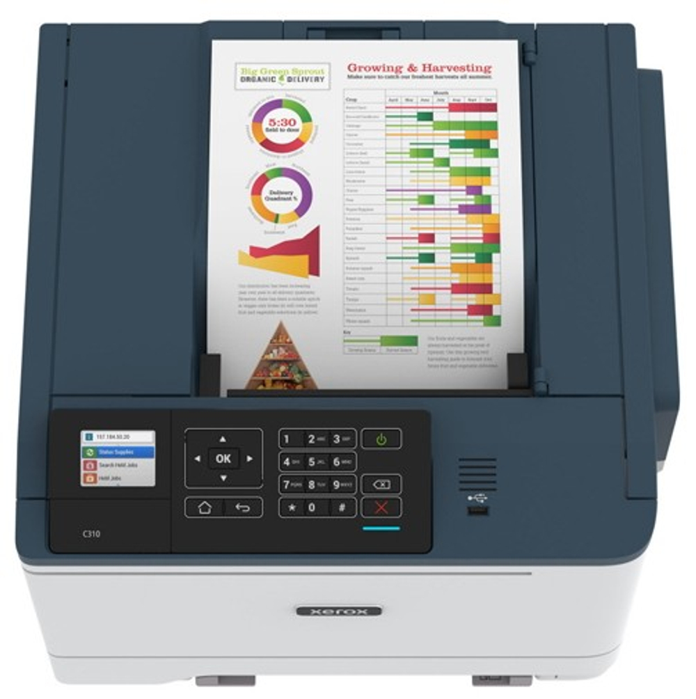 Принтер Xerox C310 [C310V_DNI]