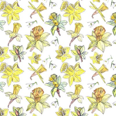 Весенние цветы. Нарциссы.