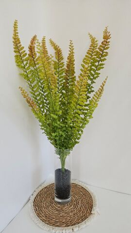 Папоротник кучерявый / Арт 6309