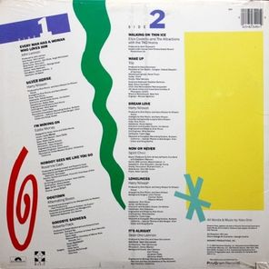 Various Artists / Every Man Has A Woman (LP)