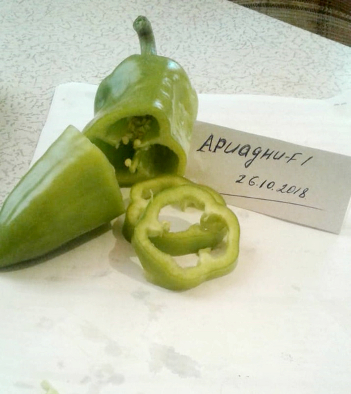 Ариадни F1 семена перца сладкого (Seminis / ALEXAGRO) культура – фото 5