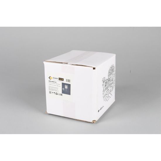 Светильник настенный (Бра) OML-66501-01