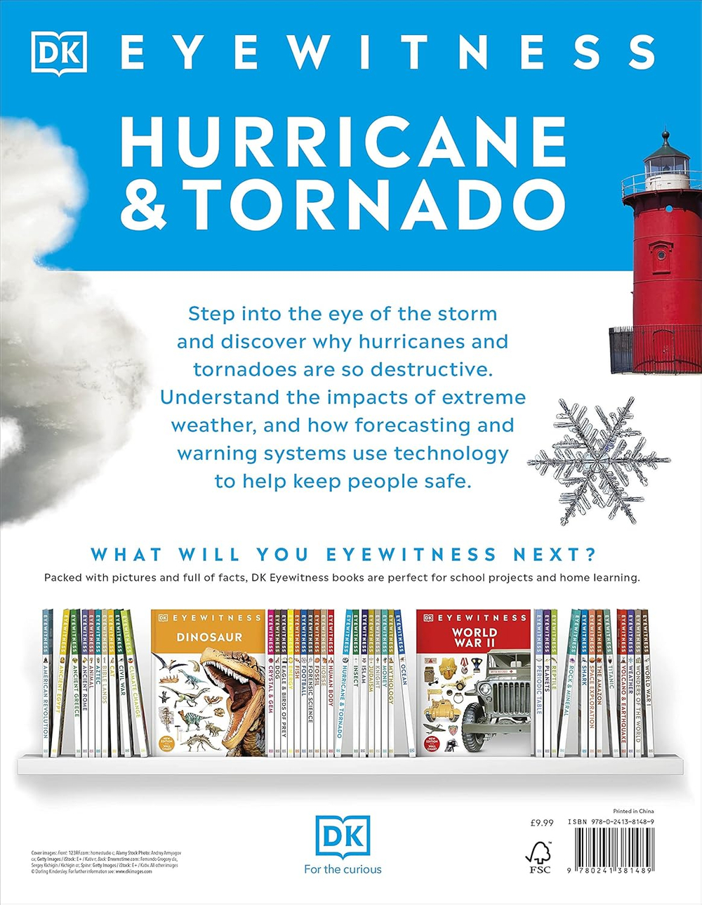 Hurricane and Tornado (DK Eyewitness)