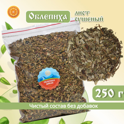 Лист облепихи.