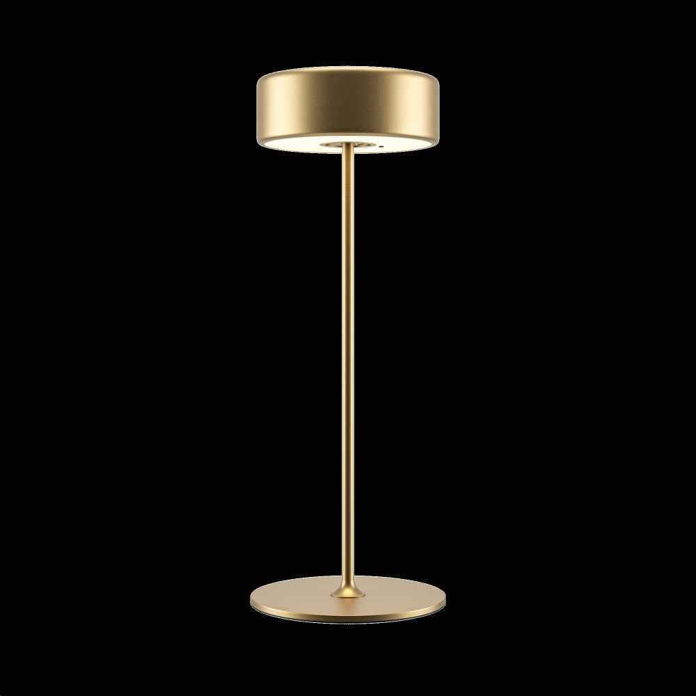 Аккумуляторный светильник Maytoni MOD229TL-L3G3K2