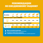 Влажный корм для взрослых собак PEDIGREE с говядиной в соусе 85 г