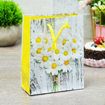 Пакет бумажный 12*15*5,5см с ручками "Цветы" микс