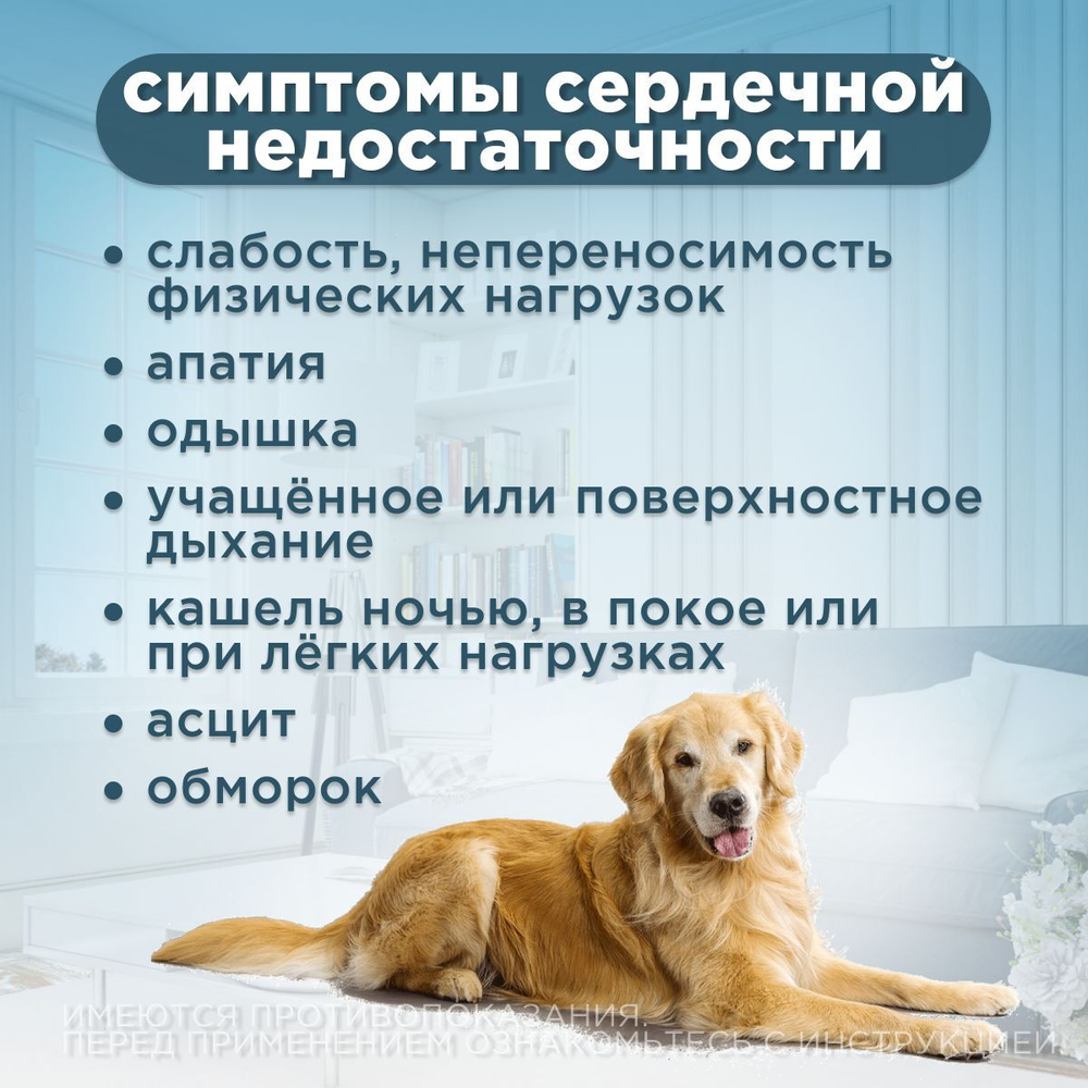 Таблетки от сердечной недостаточности у собак Ветмедин S 1,25мг, 50 таблеток