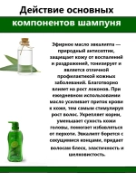 Шампунь от перхоти и ломкости