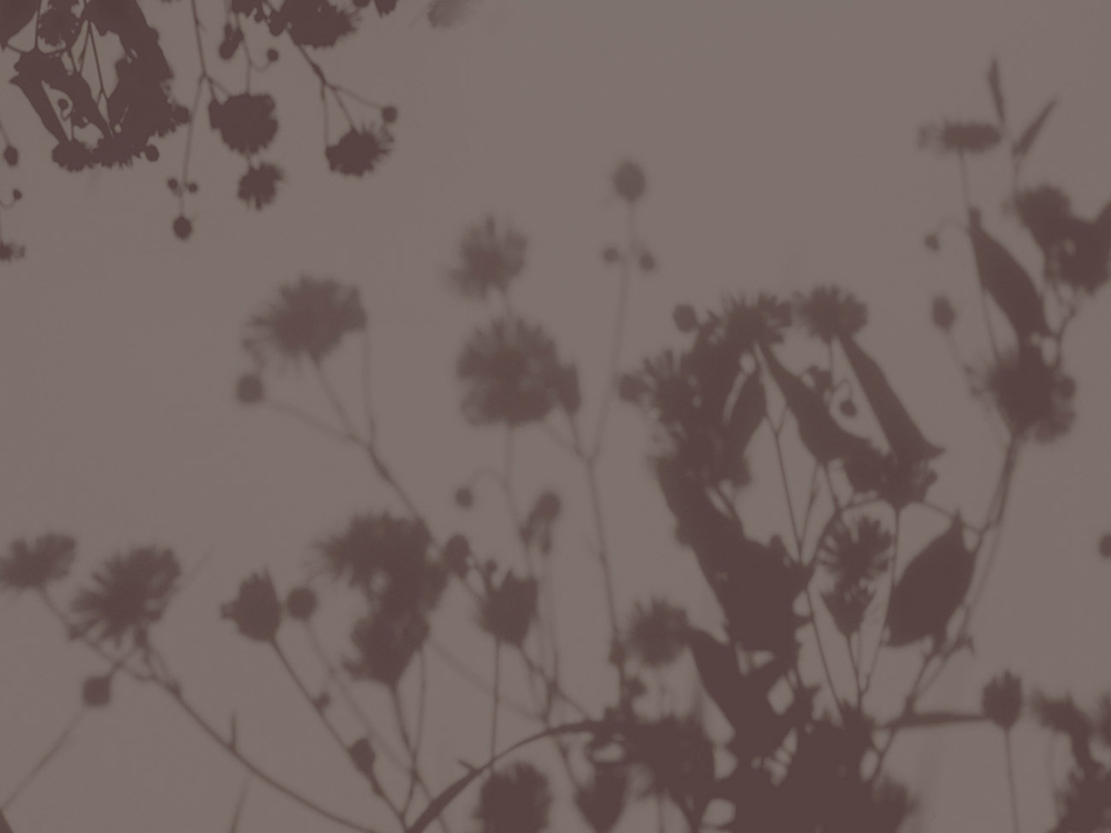 Дизайнерские обои Wall Street Vetve-22