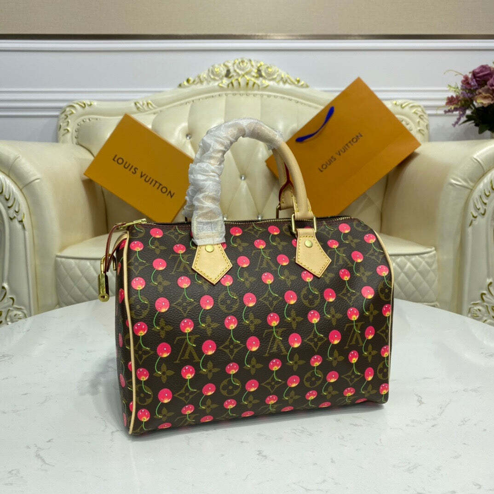 Louis Vuitton Speedy 25