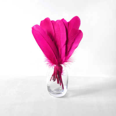Гусиные перья фуксия ровные 20шт.