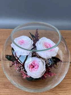 натуральные пионы в стекле, вакуум*