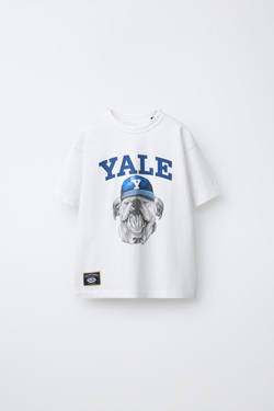 ZARA ФУТБОЛКА С СОБАКОЙ YALE UNIVERSITY™, БЕЛЫЙ