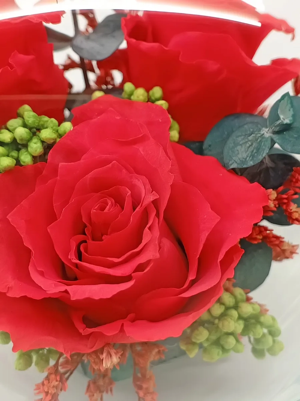 натуральные кустовые розы в стекле, вакуум