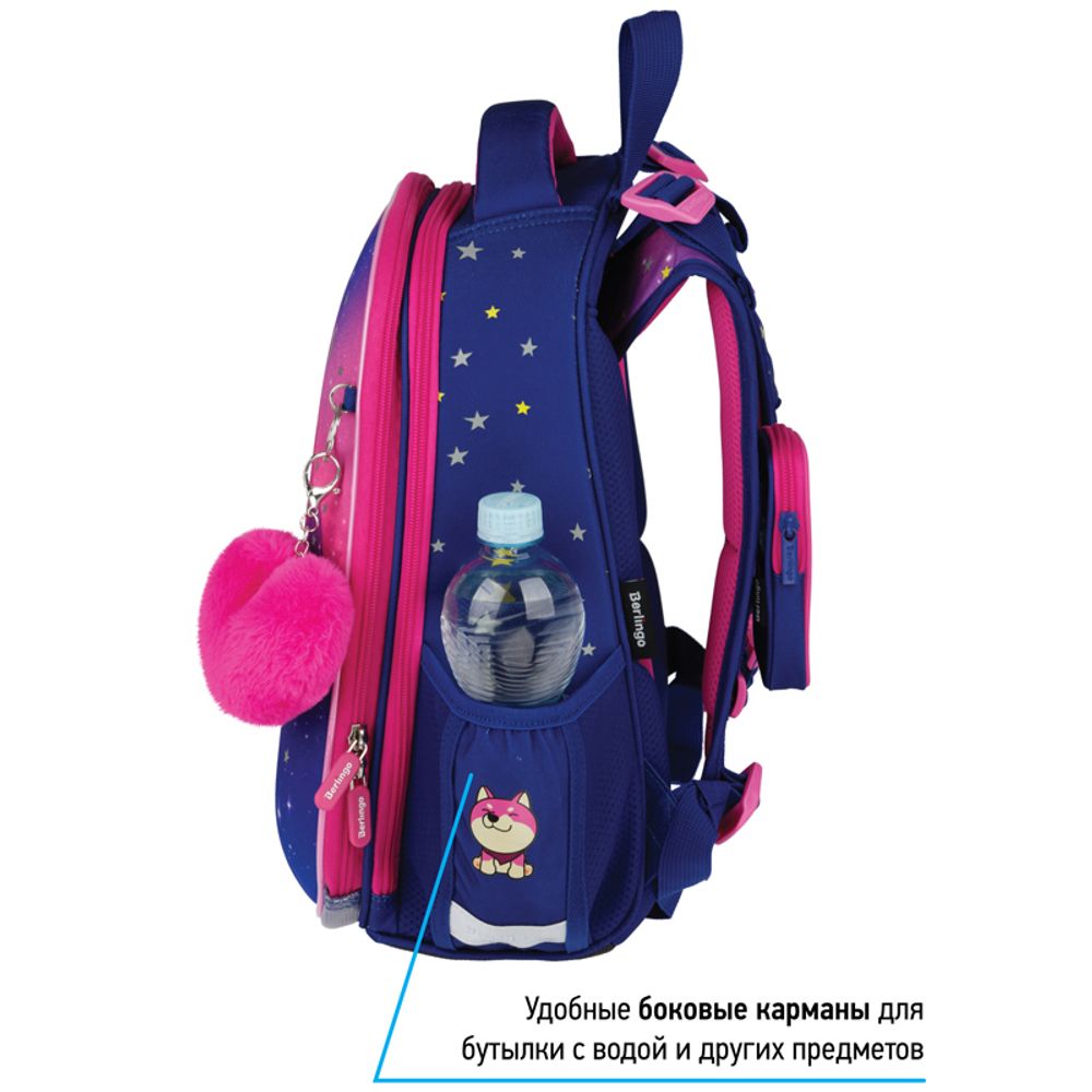 Ранец Berlingo Expert Akita boy 37х28х16см, 2 отд., с анатомической спинкой