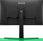 Монитор Iiyama G-Master Gold Phoenix GB2790QSU-B1