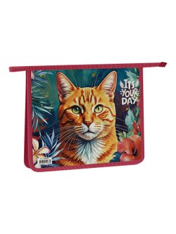 Папка для тетрадей 1 отделение А5 (ПТ-715Л0003)