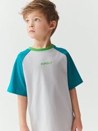 Футболка Колор блок "Пепел/Изумруд"