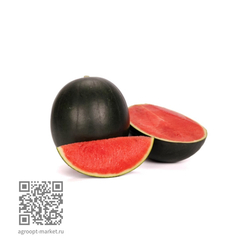 Кореллана F1 семена арбуза (Rijk Zwaan / Райк Цваан)