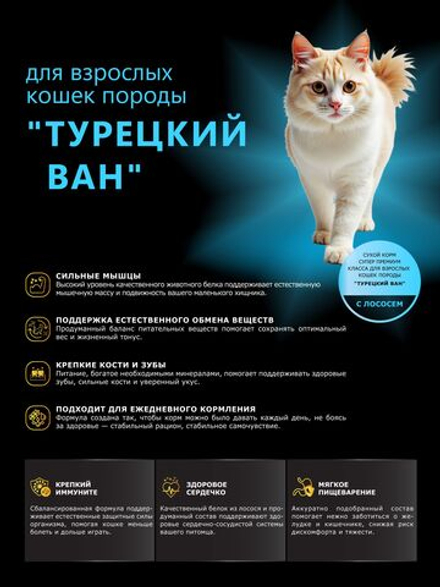 Корм сухой для взрослых кошек породы Турецкий ван, с лососем, 5 кг, QUATTRO