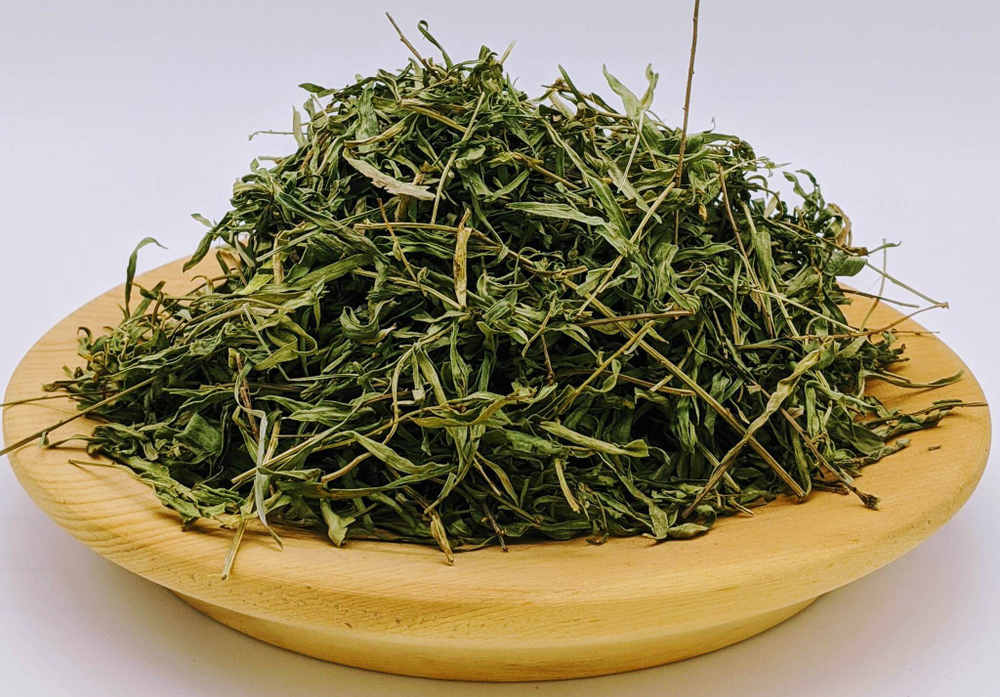 Полынь эстрагонная (эстрагон, тархун)