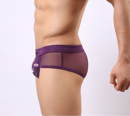 Мужские трусы брифы фиолетовые в сетку с рисунком Cockcon Unzip-Me Brief Violet 650