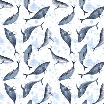 Акварельные киты в океане на белом фоне