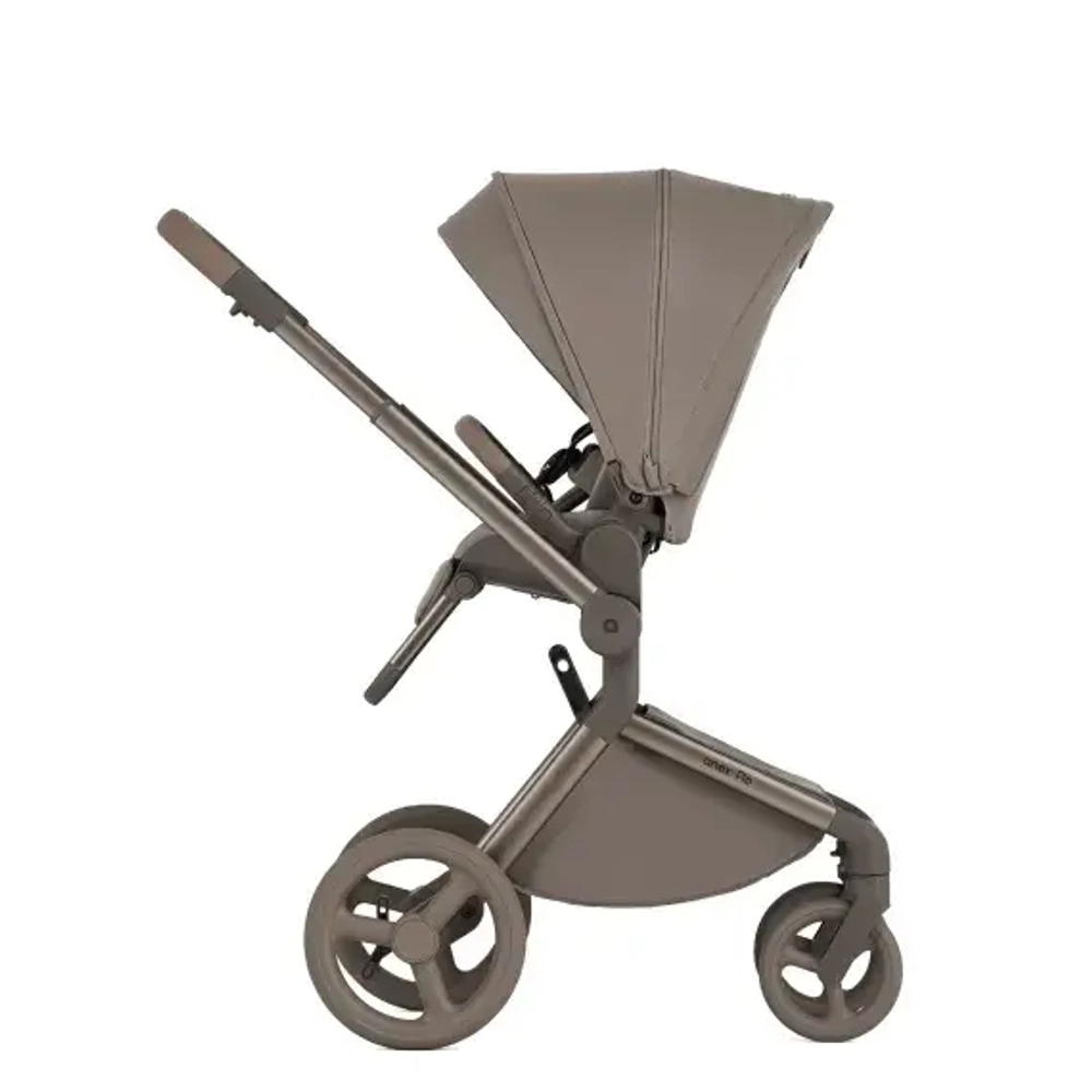 Коляска 2 в 1 ANEX Flo #1