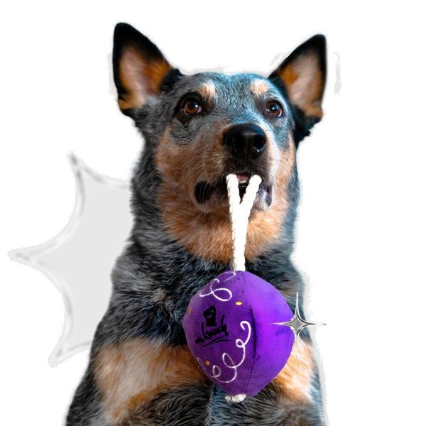 Игрушка Mr.Kranch для собак мелких и средних пород Шарик новогодний с канатом 20х9х9 см, фиолетовый