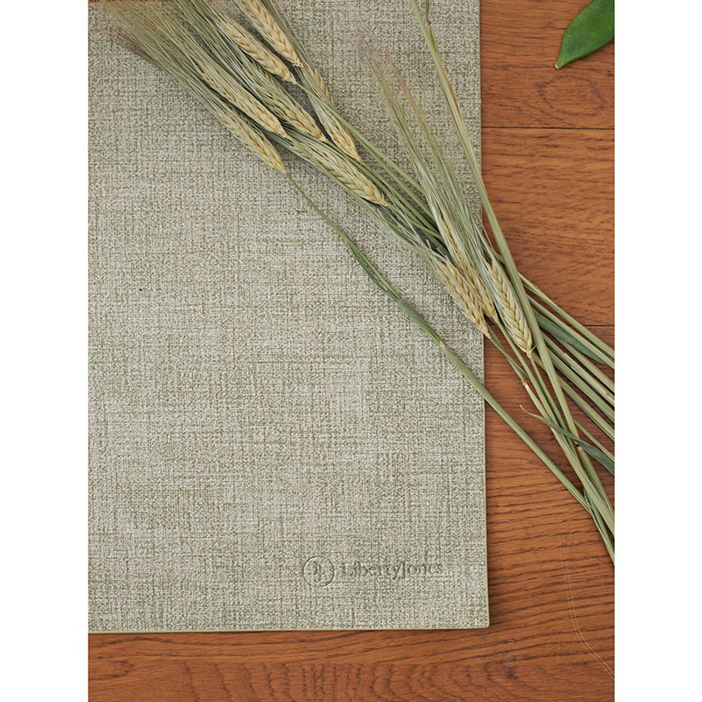 Набор из 2-х сервировочных салфеток Leanera, 30х45 см, мятные