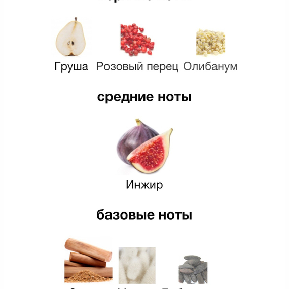 EX NIHILO Generation(s)