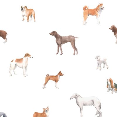 Паттерн с собаками разных пород.