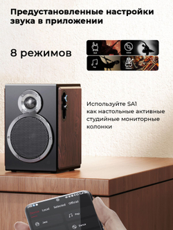 Колонки компьютерные Bluetooth FIIO SA1 (F3053S) Twilight Black
